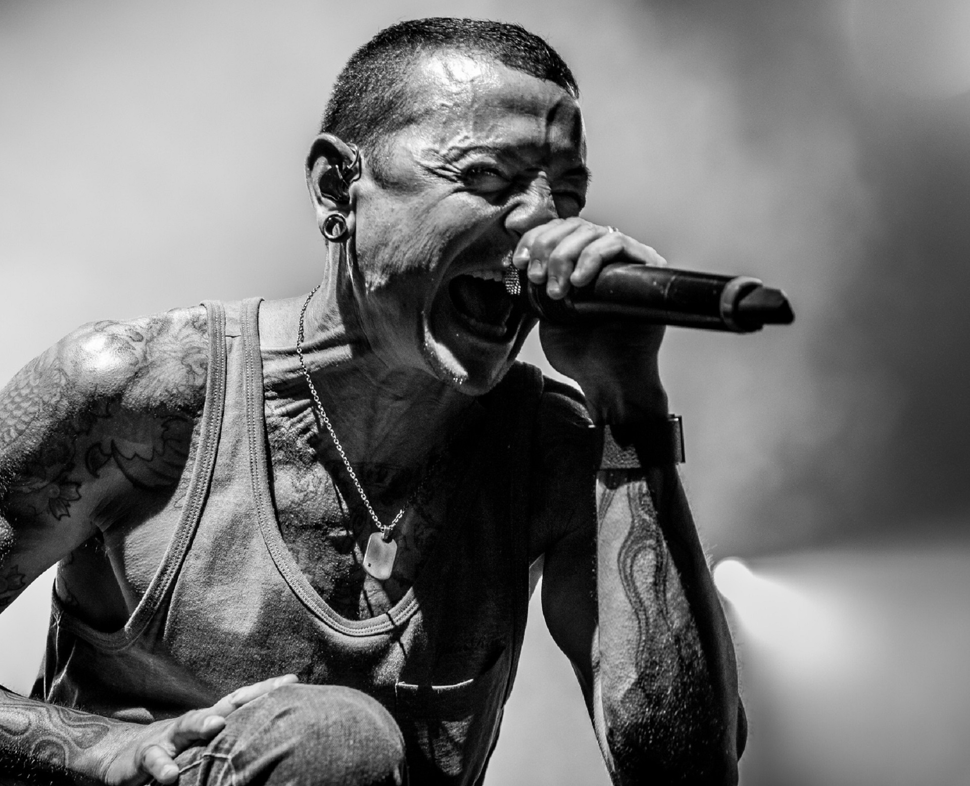 chester pic